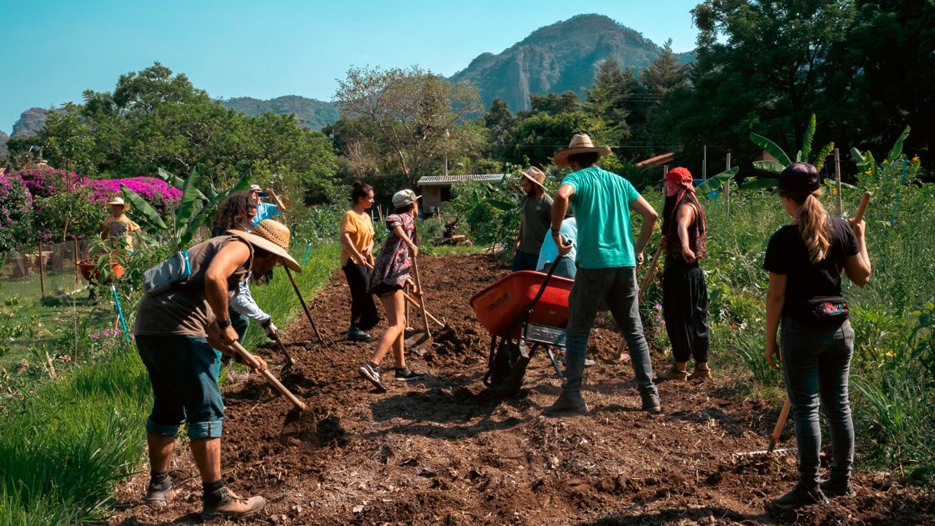 Comunidad trabajando la tierra durante un taller