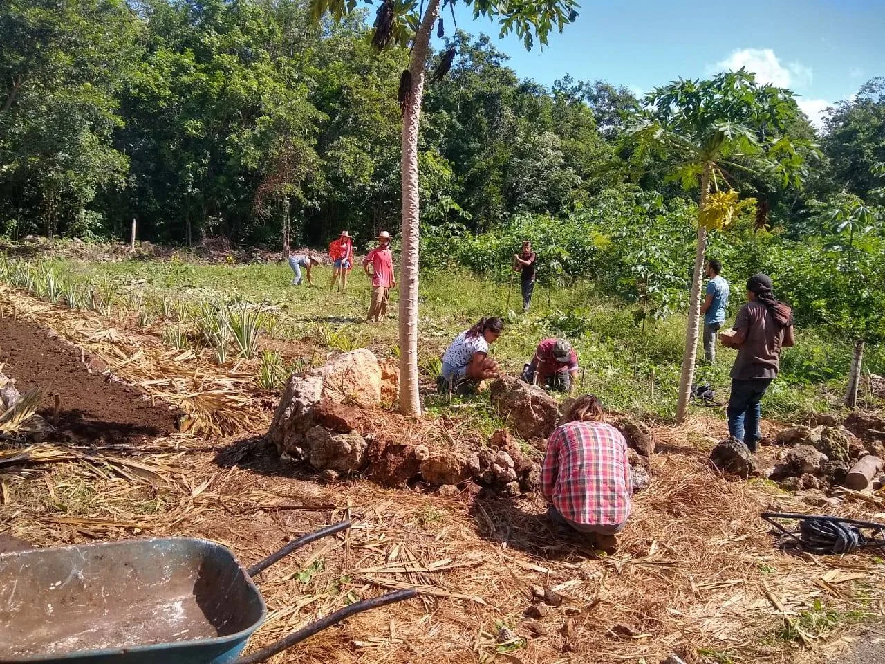 Personas recorriendo un paisaje rodeado de vegetación