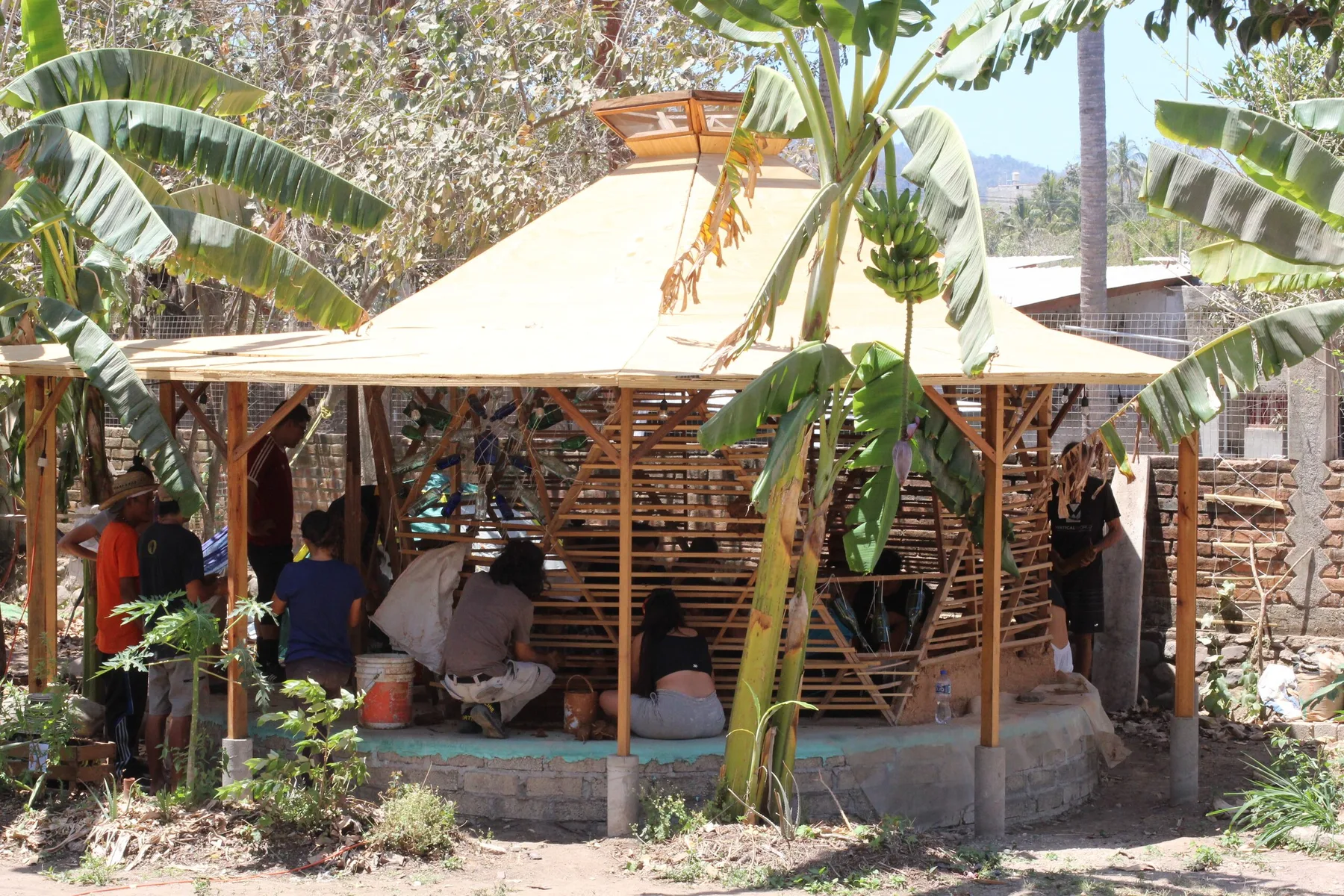 Construcción comunitaria de un temazcal rodeado de vegetación