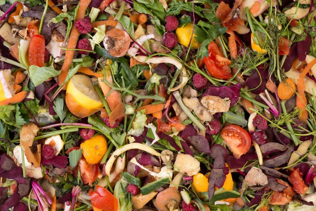 Residuos vegetales listos para convertirse en composta